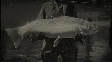 Go to a trapper, one in St Denis. . Rdr2 legendary steelhead trout